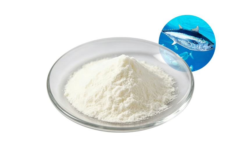 Elastin Peptide